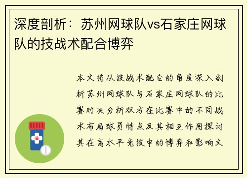 深度剖析：苏州网球队vs石家庄网球队的技战术配合博弈